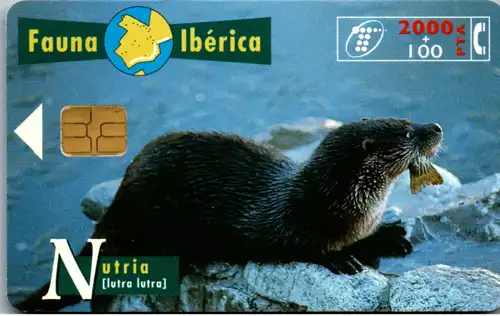 15285 - Spanien - Fauna Iberica , Nutria
