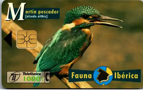 15286 - Spanien - Fauna Iberica , Martin pescador