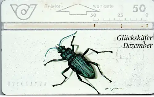 15309 - Österreich - Glückskäfer Dezember