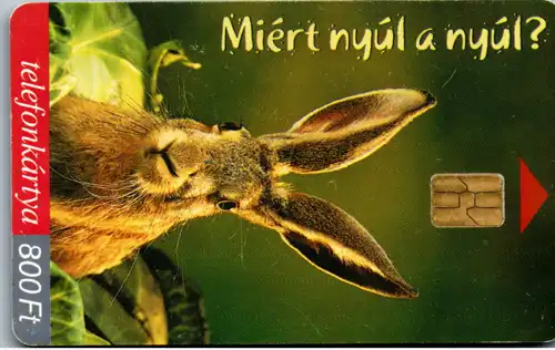 15491 - Ungarn - Miert nyul a nyul , Hase