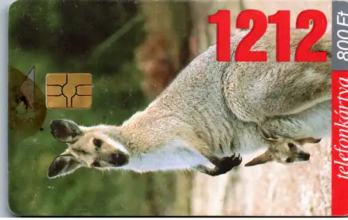 15503 - Ungarn - 1212 , Kängeruh