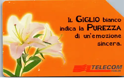 15579 - Italien - Messagi Floreali , Il Giglo , Purezza