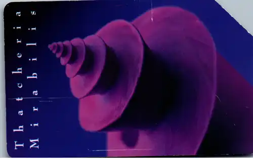 15593 - Italien - Gioeilli del Mare , Die Juwelen des Meeres , Thatcheria Mirabilis