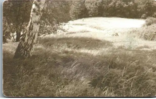 15668 - Tschechien - Landschaft , Heuschrecke