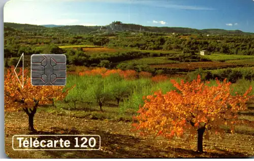 15675 - Frankreich - Landschaft