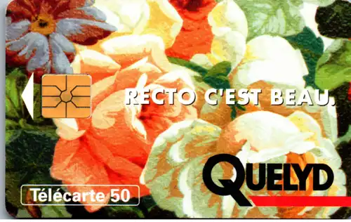 15703 - Frankreich - Recto c'est Beau , Quelyd