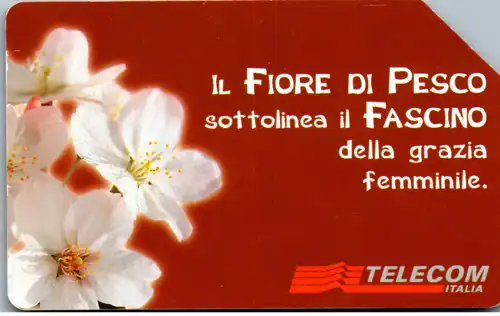 15824 - Italien - Messagi Floreali , Il Fiore de Pesco