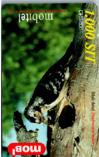 15957 - Slowenien - Mobi , Mobitel , Mali detel , Dendrocopos minor , Specht