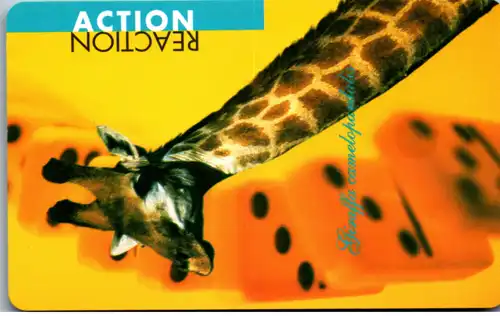 16084 - Südafrika - Giraffe , Giraffa , Action , Reaction
