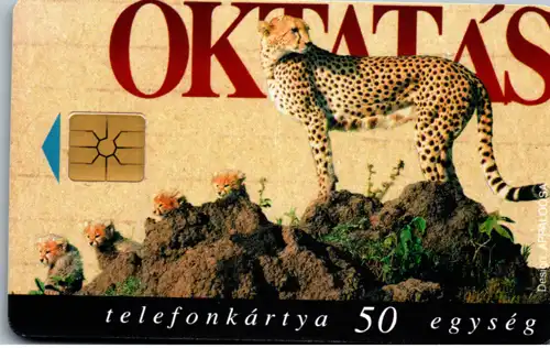 16099 - Ungarn - Oktatas , Gepard