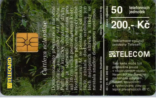 16118 - Tschechien - Cattleya aclandiae