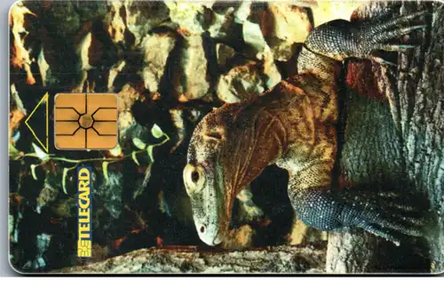 16173 - Tschechien - Varan Komodsky , Zoo Plzen