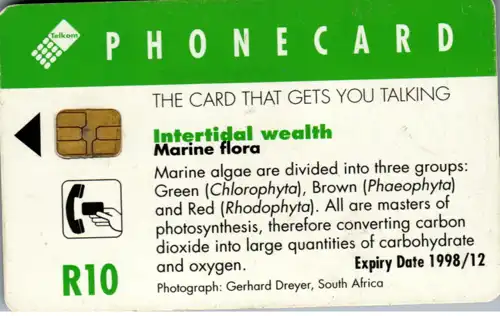 16175 - Südafrika - Intertidal wealth , Marine flora