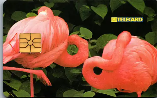 16183 - Tschechien - Flamingo