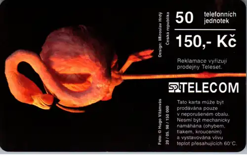 16183 - Tschechien - Flamingo