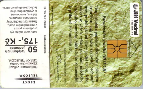 16190 - Tschechien - Paradoxis gracilis , Boeck