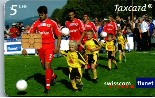 15462 - Schweiz - Swisscom Fixnet Taxcard , Der Nachwuchs