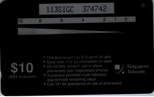 16231 - Singapur - Stink Bug