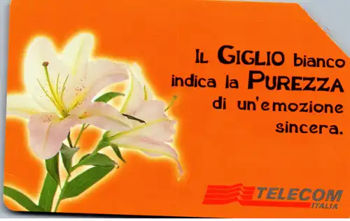 16251 - Italien - Messaggi Floreali , Il Giglio