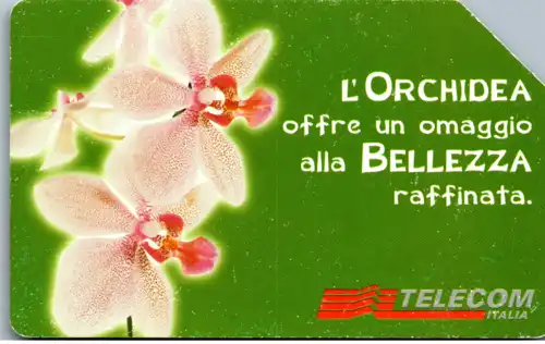 16253 - Italien - Messaggi Floreali , Il Orchidea
