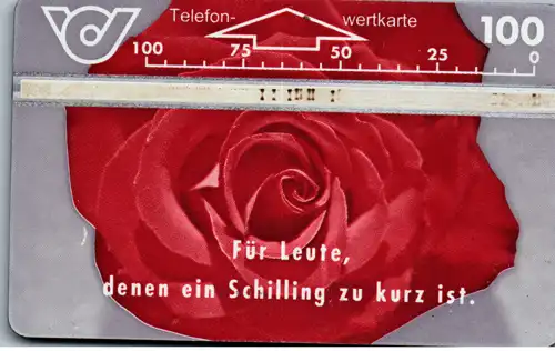 16267 - Österreich - Rose