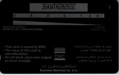 16269 - Kuwait - Desert Flowers