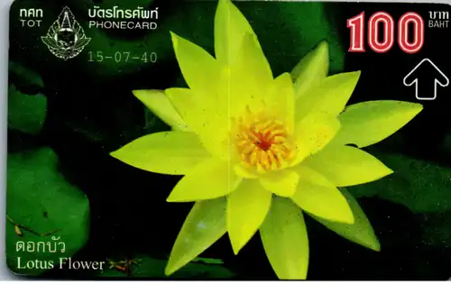 16274 - Thailand - Lotus Flower