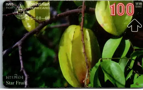 16290 - Thailand - Star Fruit