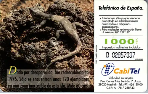 16298 - Spanien - Fauna Iberica , Lagarto gigante de El Hierro