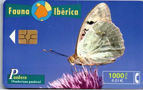 16331 - Spanien - Fauna Iberica , Pandora