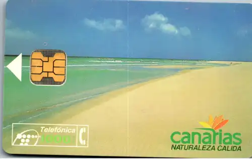 16337 - Spanien - Canarias , Naturaleza Calida