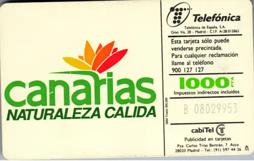 16337 - Spanien - Canarias , Naturaleza Calida