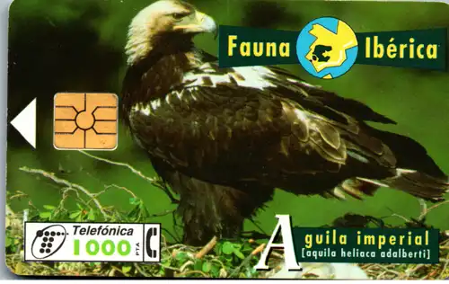 16338 - Spanien - Fauna Iberica , Aguila imperial