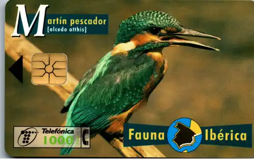16382 - Spanien - Fauna Iberica , Martin pescador