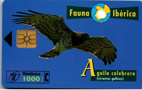 16569 - Spanien - Fauna Iberica , Aguila culebrera