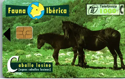 16608 - Spanien - Fauna Iberica , Caballo Iosino