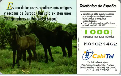 16608 - Spanien - Fauna Iberica , Caballo Iosino