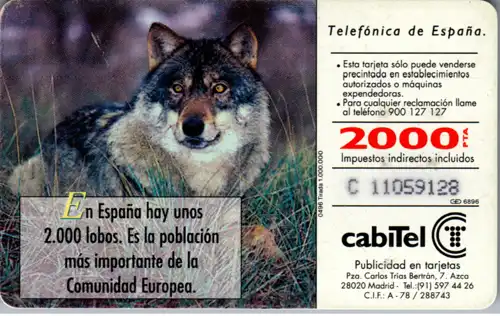 16609 - Spanien - Fauna Iberica , Lobo