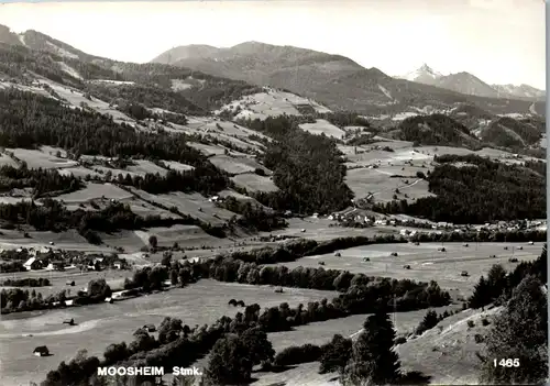 21353 - Steiermark - Moosheim , Panorama - gelaufen