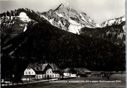 21364 - Steiermark - Thörl , St. Ilgen , Alpengasthof Bodenbauer gegen Buchbergkogel - gelaufen 1968