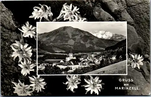 21369 - Steiermark - Mariazell , Panorama - gelaufen 1958