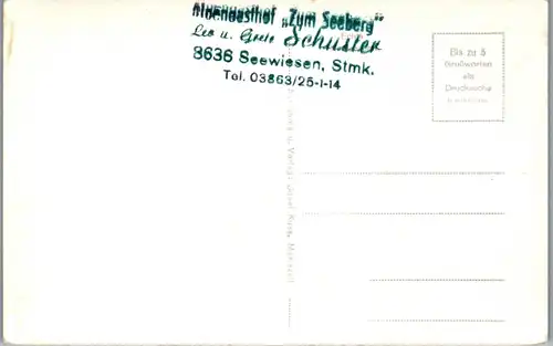 21400 - Steiermark - Seewiesen , Panorama - nicht gelaufen