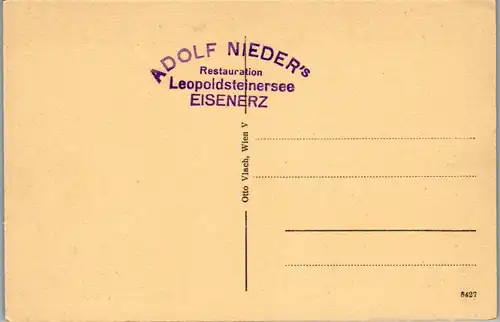 21419 - Steiermark - Eisenerz , Schloß Leopoldsteinersee - nicht gelaufen