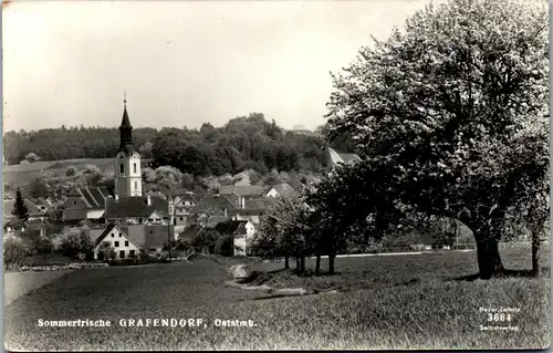 21449 - Steiermark - Grafendorf , Sommerfrische - gelaufen 1959