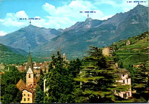 21532 - Italien - Meran , Panorama , Cima di Tel , Zielspitze , Cigat , Tschigat , Monte Muta , Mutspitze - gelaufen 1965