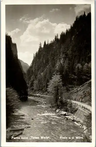 21634 - Steiermark - Mürzzuschlag , Frein an der Mürz , Partie beim Toten Weib - gelaufen 1933