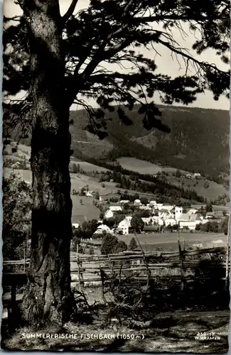 21637 - Steiermark - Fischbach , Panorama  - gelaufen 1957