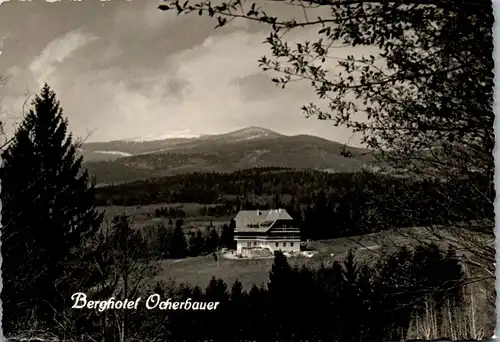 21879 - Steiermark - Tauchen , Berghotel Ocherbauer - gelaufen 1959