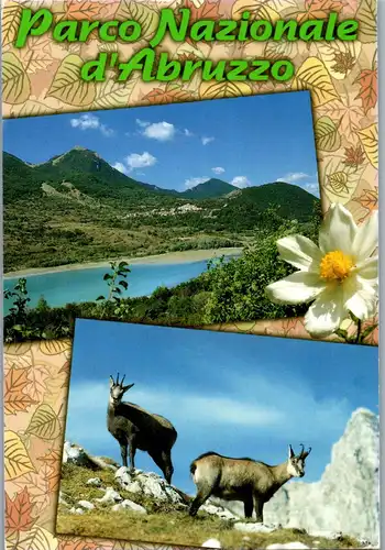 22174 - Italien - Abruzzo Pittoresco , Parco Nazionale d' Abruzzo - nicht gelaufen