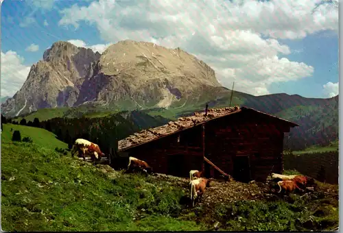 22179 - Italien - Alpe di Siusi , Sassopiatto e Sassolungo , Seiseralm , Plattkofel u. Langkofel - nicht gelaufen